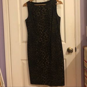 Leopard dress-Ann Taylor- size6